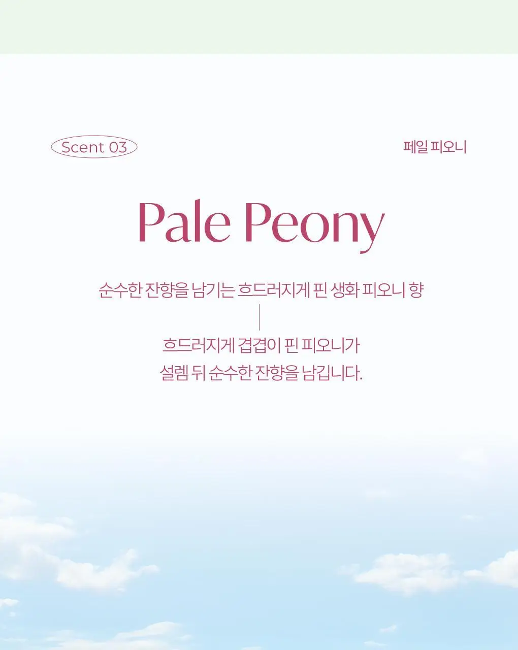 [신규향출시] 라운드어라운드 편백 클린 스프레이 90ml 단품/콜라보기획 상세페이지 26